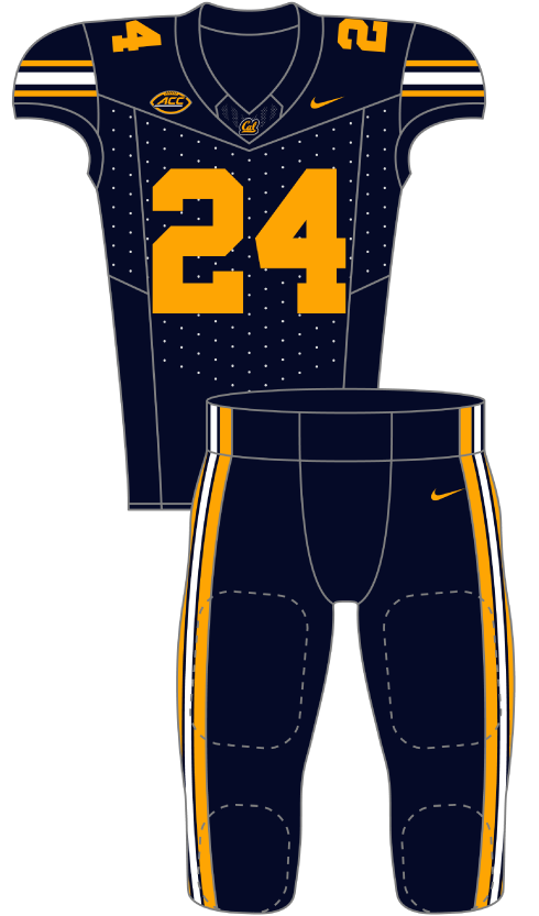 California 2024 Blue