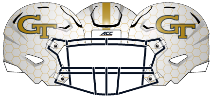 2014 Honey Comb Helmet