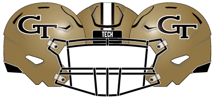 2023 Gold & Black Helmet