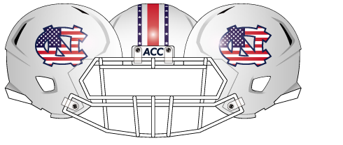North Carolina 2013 Flag Helmet