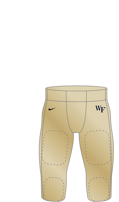 Wake Forest 2004 gold