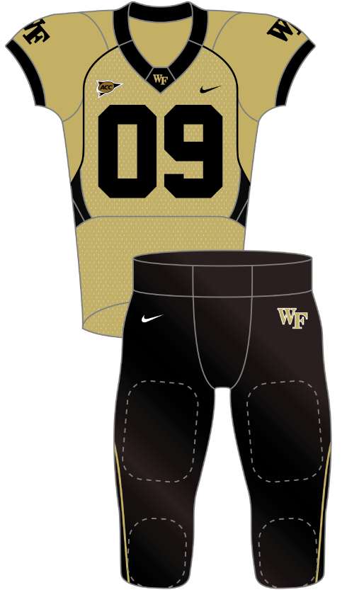 Wake Forest 2009 gold